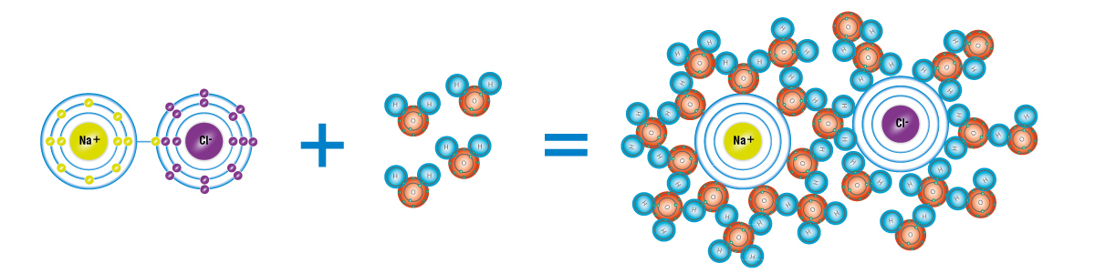 Dissoziation von Natriumchlorid in Wasser